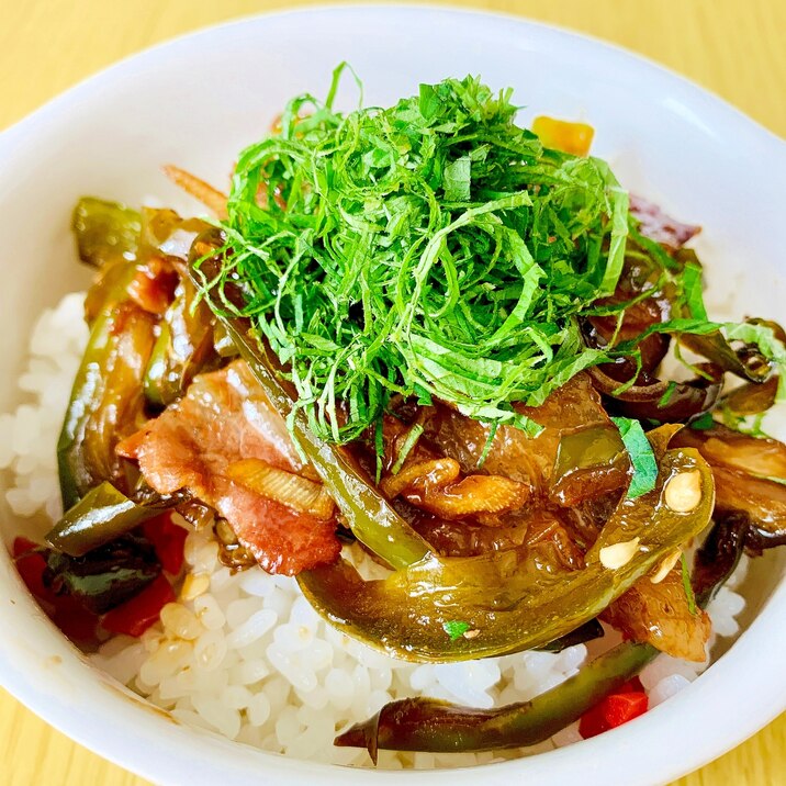 ガツンと夏野菜の豚丼☆彡